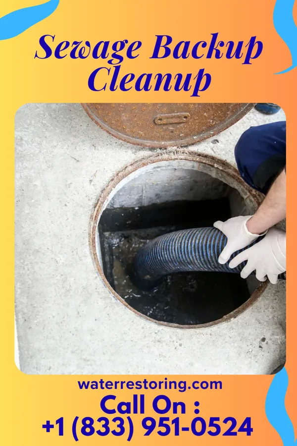 Sewage Backup Cleanup in River Ridge, LA