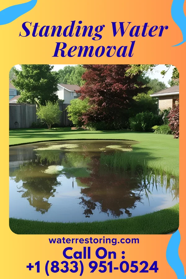 Standing Water Removal in River Ridge, LA